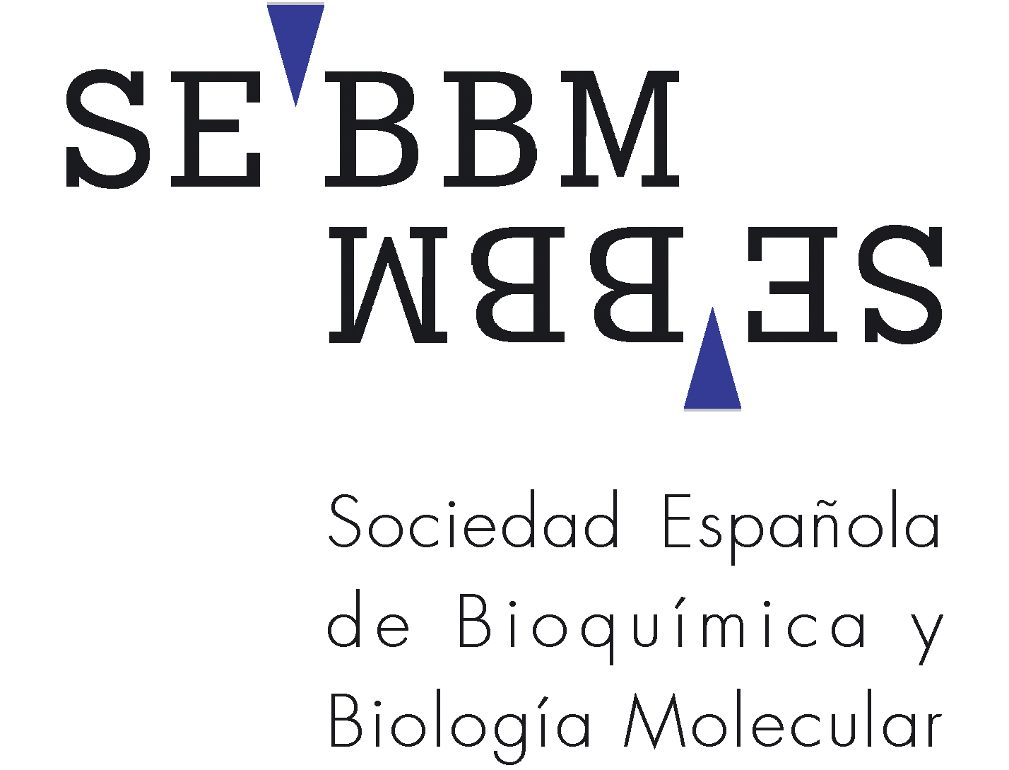 LogoSebbmRGB