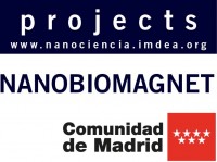 NANOBIOMAGNET Fundamentals and applications of molecules, magnetic nanoparticles and nanostructures: from spintronics to biomedicine