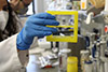 [Agencia SINC] Colorimetric test with gold nanoparticles to detect coronavirus